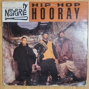 Vinyl Record - Hip Hop Hooray - Black and Orange